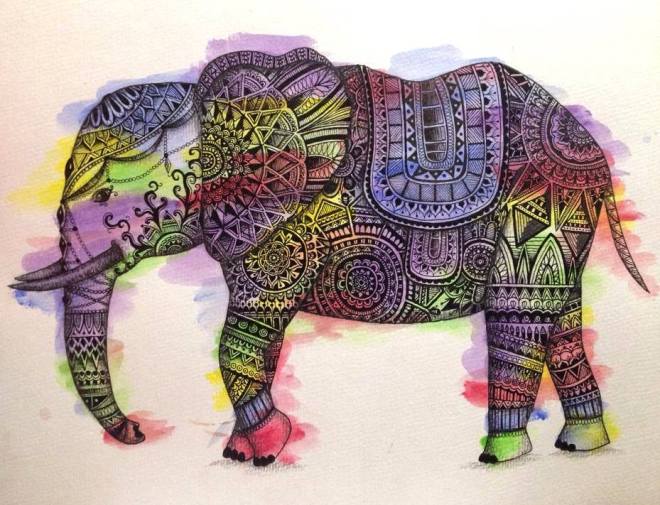 11224723_410802959127888_5981222940465116838_n